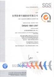 OHSAS 18001 职业健康与安全