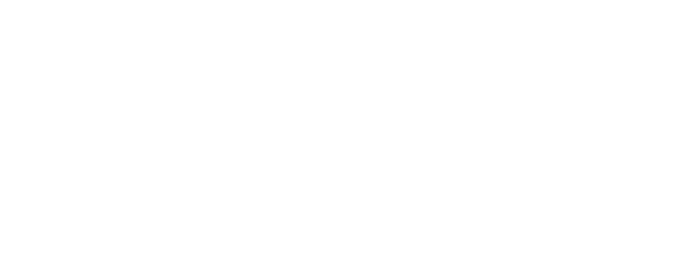 ORGANIZATIONAL STRUCTURE